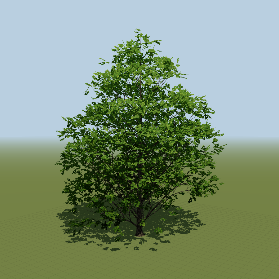 Procedurally grown linden with foliage